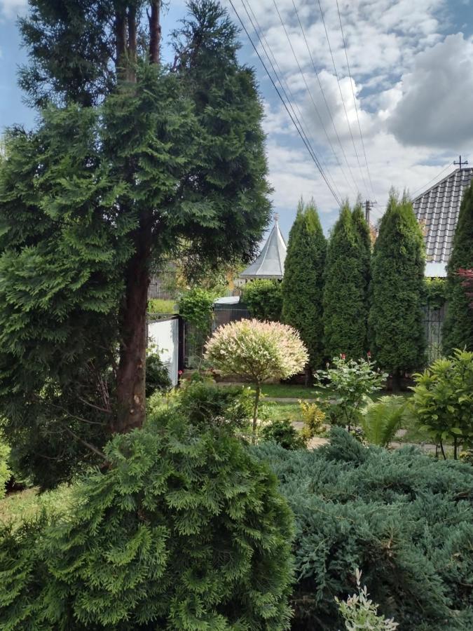 Casa Mamei Suceava Esterno foto