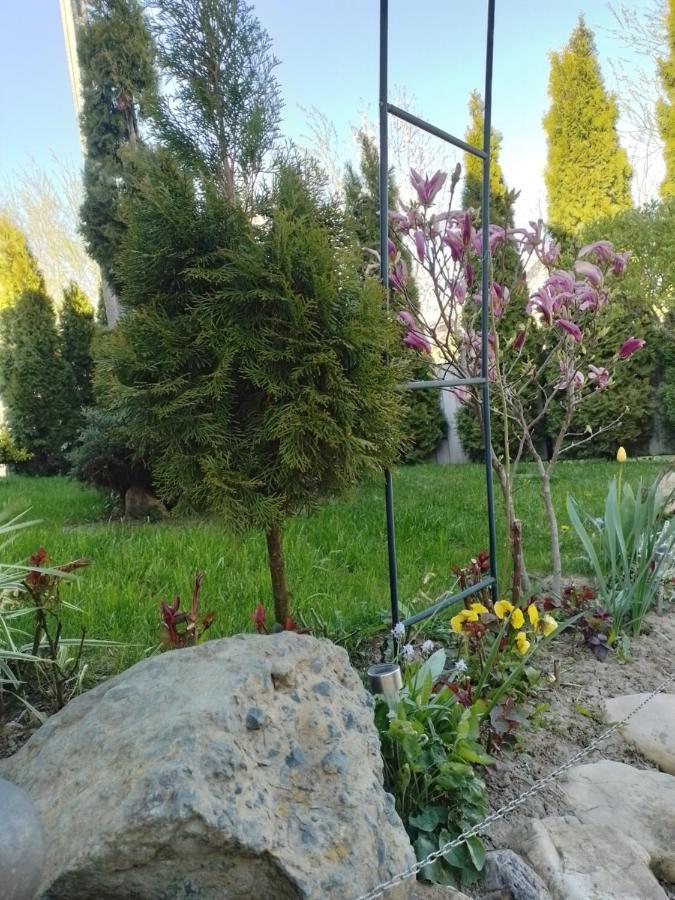 Casa Mamei Suceava Esterno foto