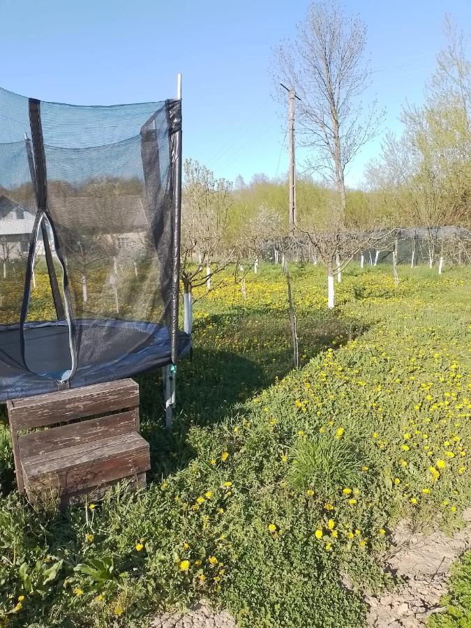 Casa Mamei Suceava Esterno foto