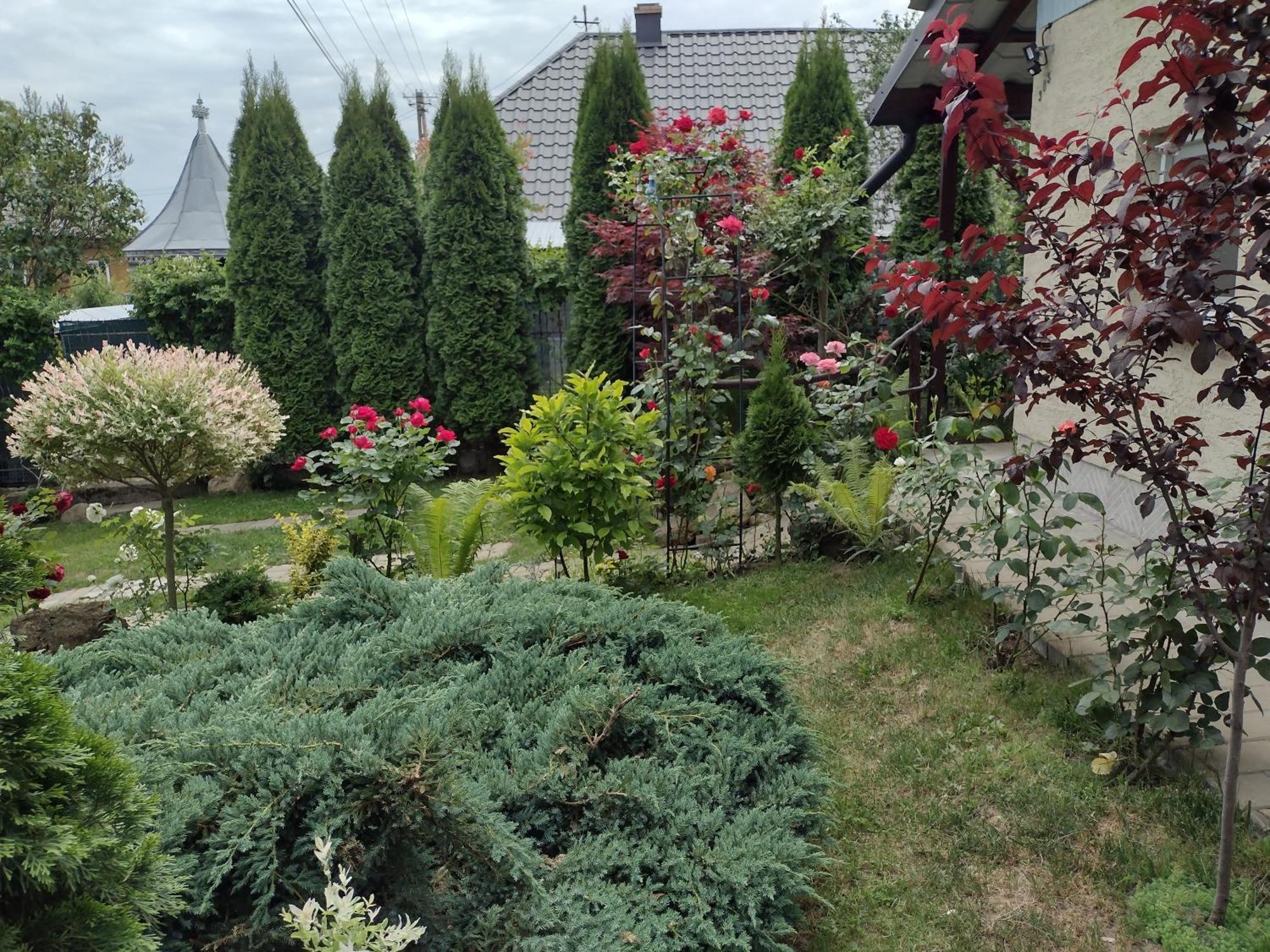 Casa Mamei Suceava Camera foto